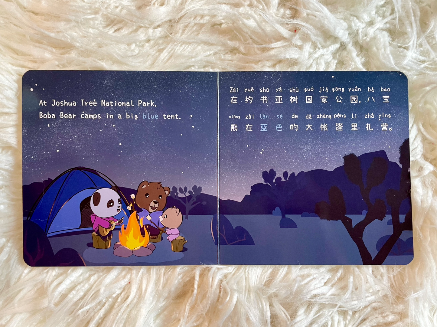Boba Bear's Outdoor Adventures 八宝熊的野外奇遇