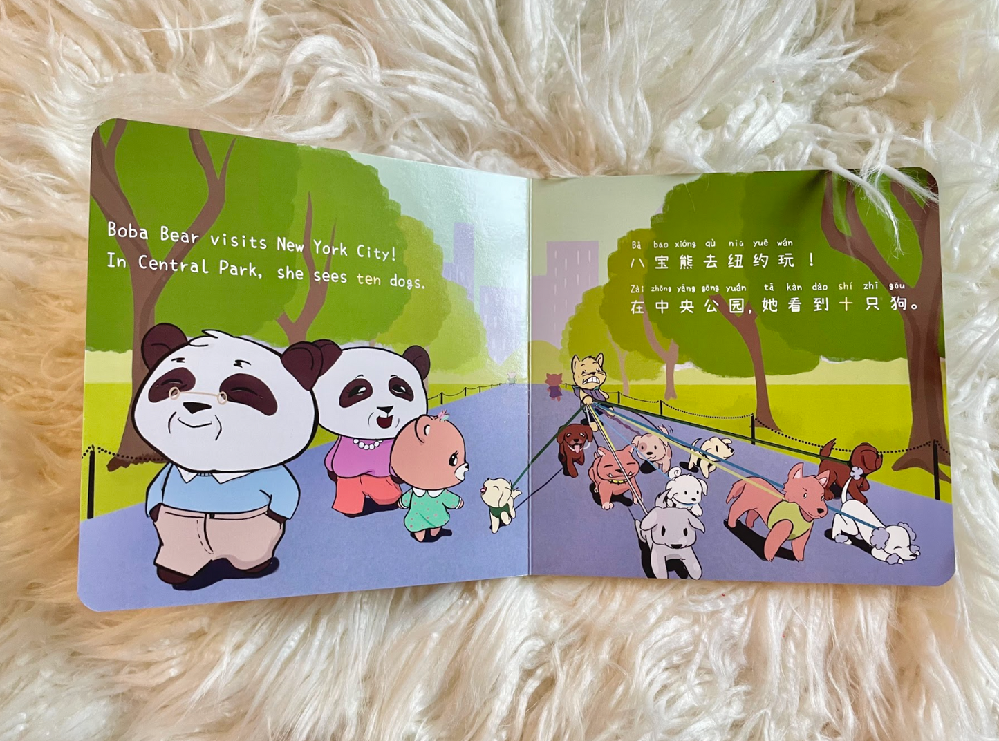 Donate Boba Bear books to a local library